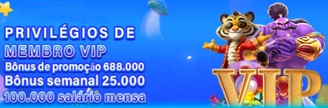 Suporte VIP Okokkwd - atendimento prioritário